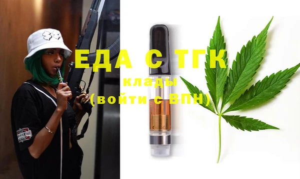 мдпв Каменногорск
