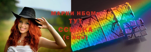 крисы Алзамай