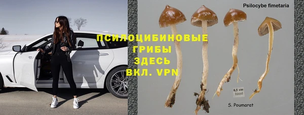 ПСИЛОЦИБИНОВЫЕ ГРИБЫ Алексеевка