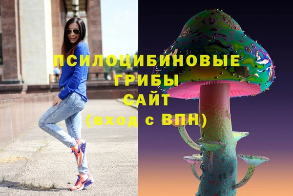 крисы Алзамай