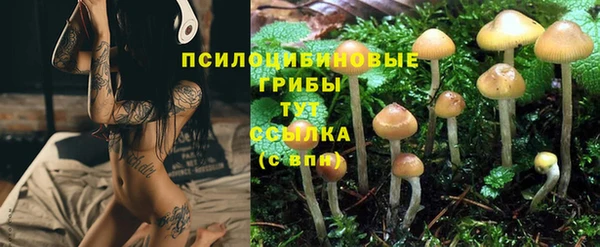 крисы Алзамай