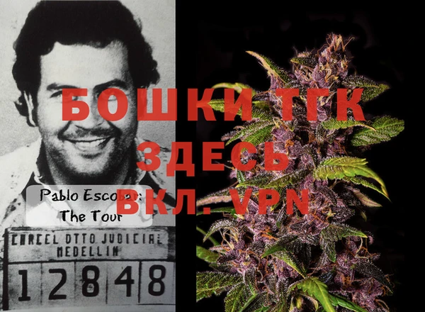 тгк Алексин