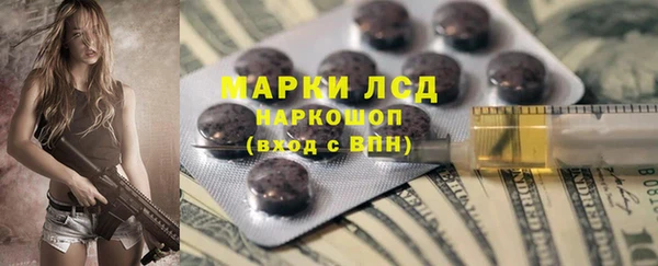 крисы Алзамай