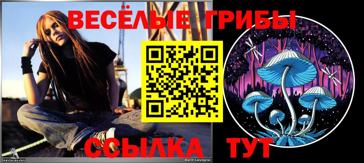 Каннабис Котельники